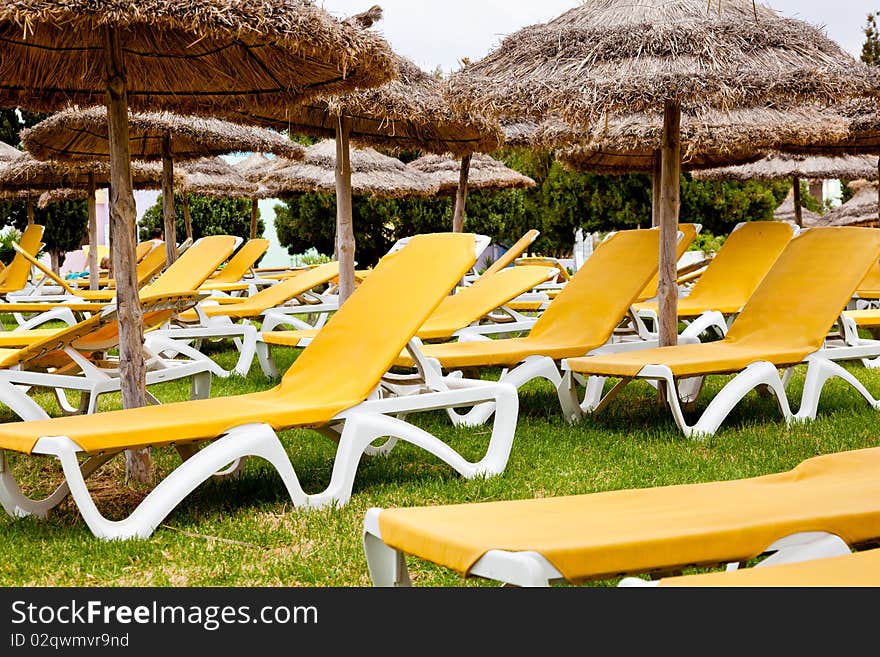 Deckchairs on the green grass