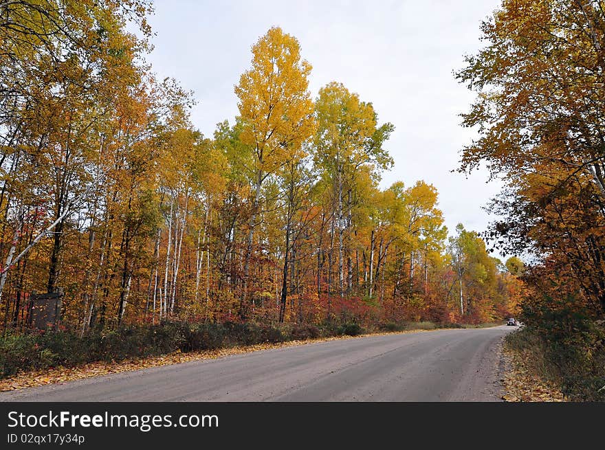 Algonquin provincial park, Ontario, Canada. Algonquin provincial park, Ontario, Canada.