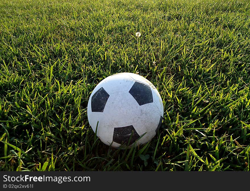 Soccer ball sits on green grass in the late afternoon. Soccer ball sits on green grass in the late afternoon.