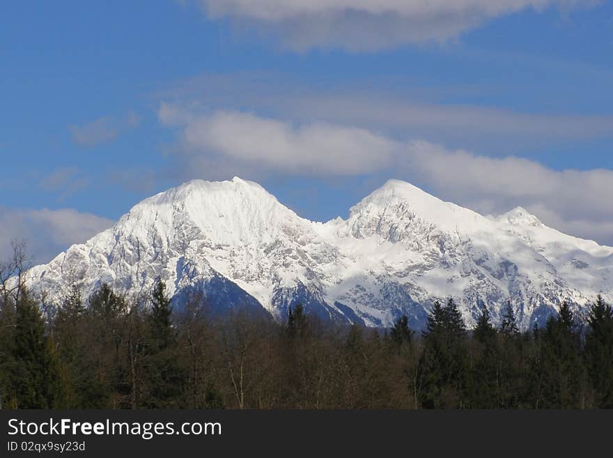 Beautiful alpine scenery, snow covered mountain peaks rising above the alpine forest *with space for text (copyspace)