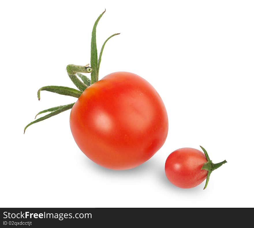 Selected Tomatoes On A White