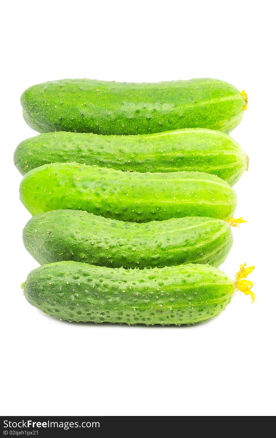 Row of fresh cucumbers isolated over white