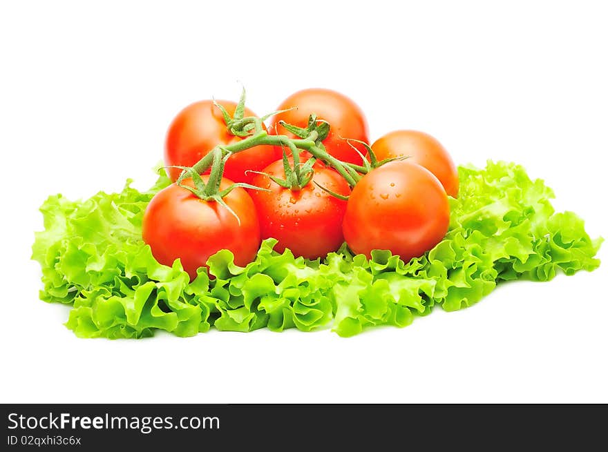 Branch of tomatoes over fresh green salad isolated over white. Branch of tomatoes over fresh green salad isolated over white