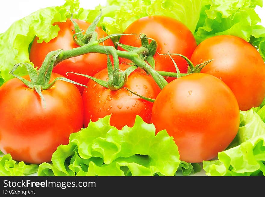 Branch of tomatoes over fresh salad leaves