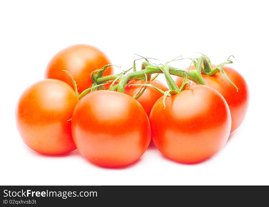 Branch Of Red Tomatoes Isolated Over White