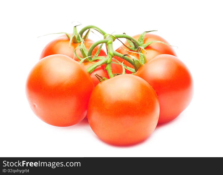 Branch Of Red Tomatoes Isolated Over White