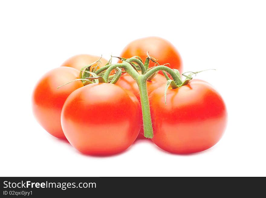 Branch of fresh juicy tomatoes isolated over white