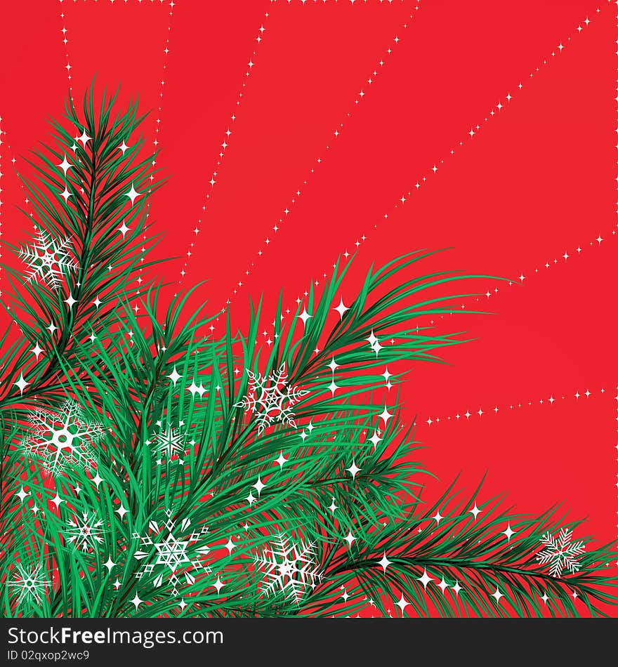 Christmas card with pine branches