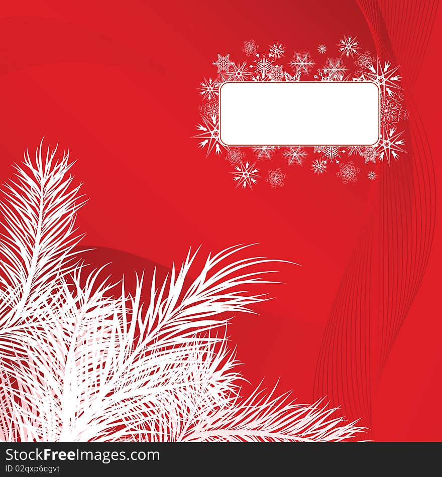 Christmas card with pine branches