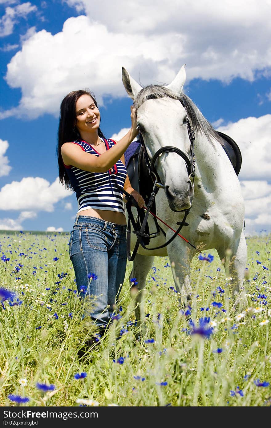 Equestrian with a horse on meadow