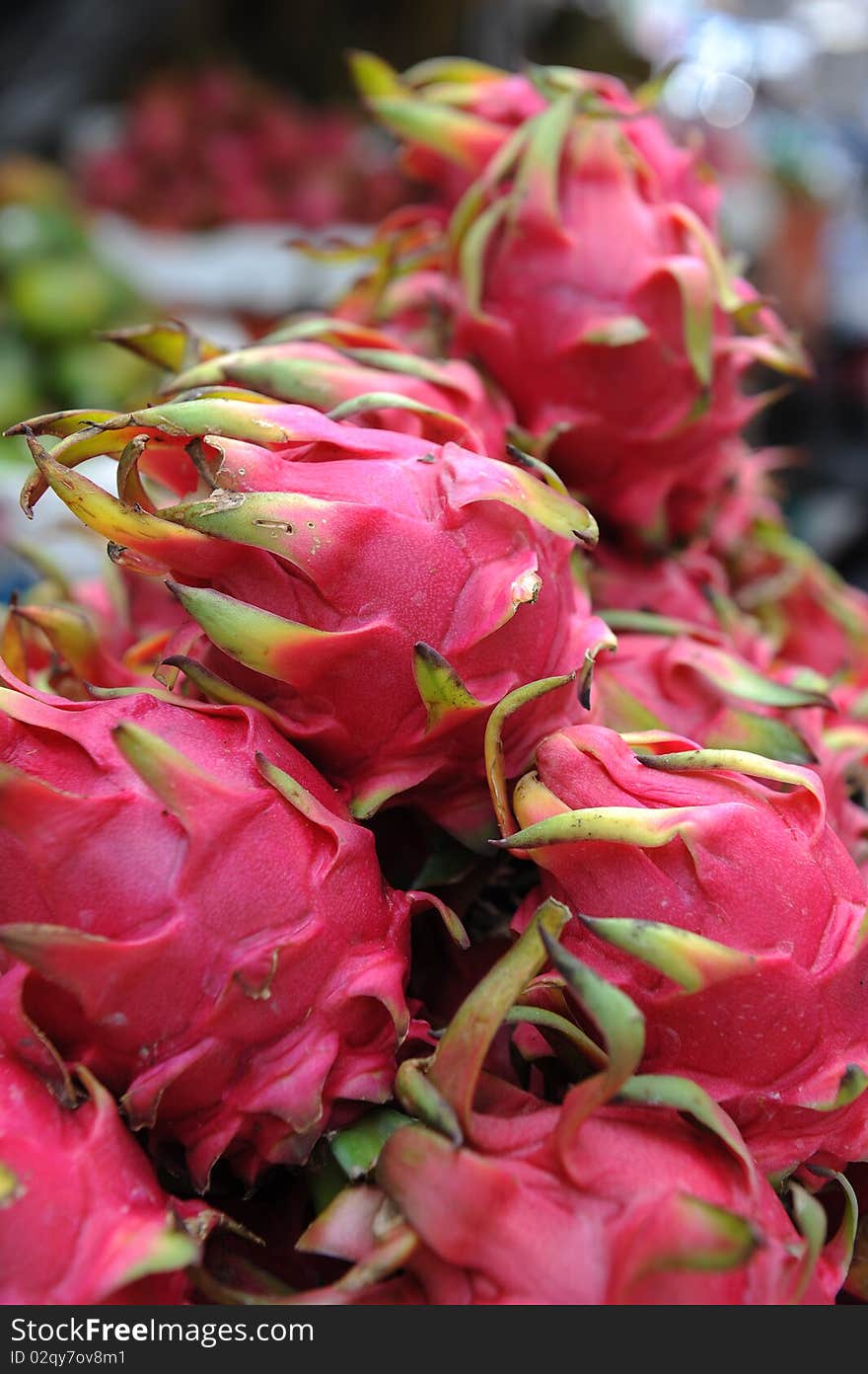 Pitahaya fruit