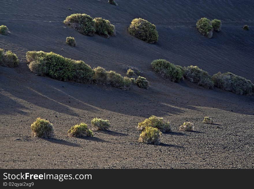 Volcanic landscape in national park Timanfaya