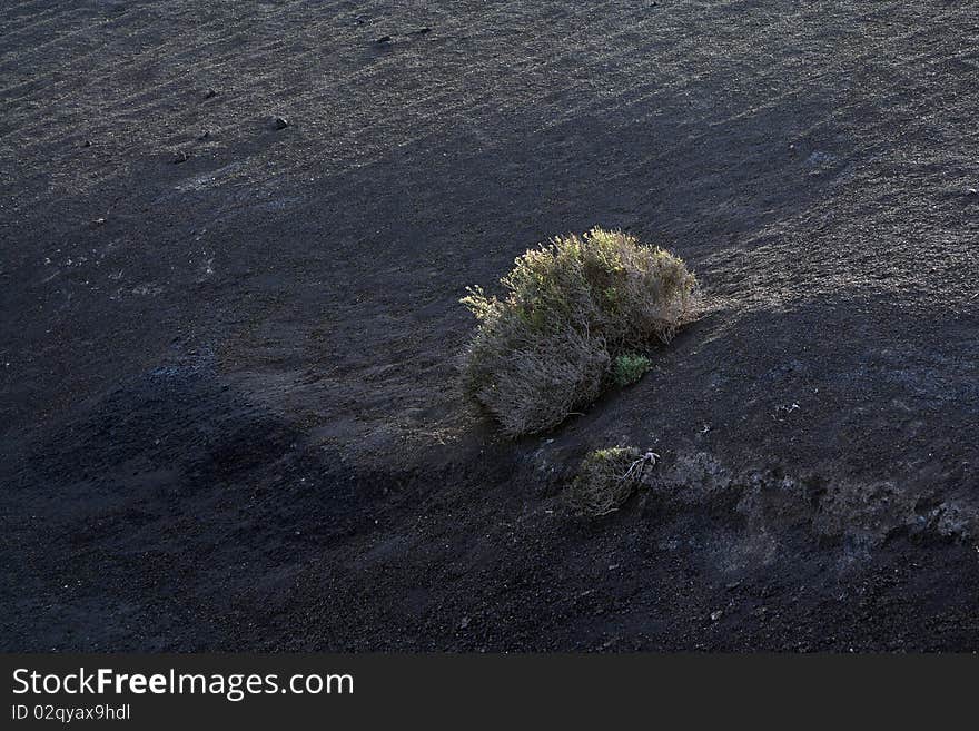 Volcanic landscape in national park Timanfaya in Lanzarote, Spain