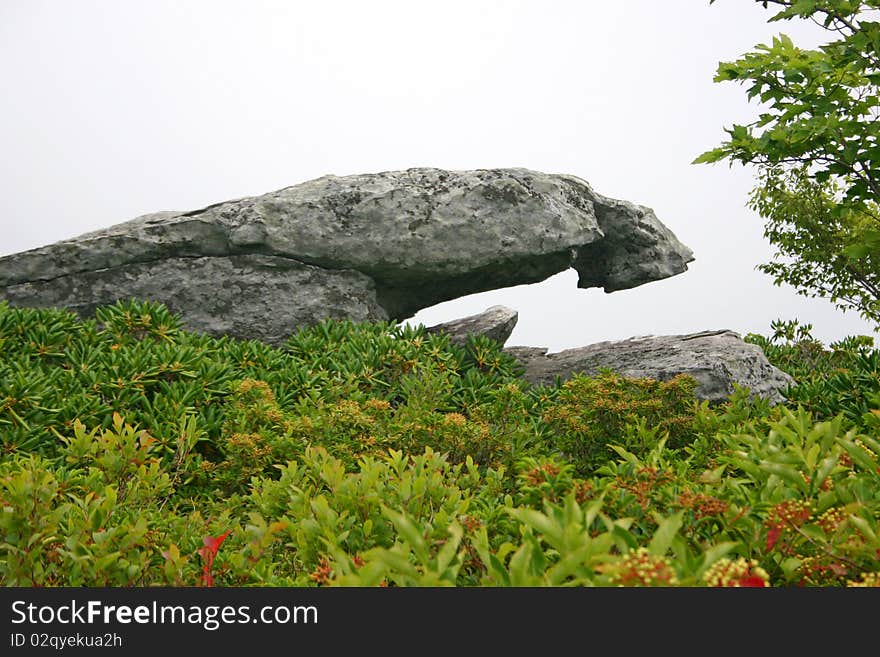 Overhanging Rock