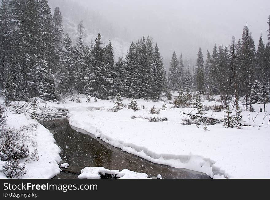 Snow falling on a quiet winter afternoon. Snow falling on a quiet winter afternoon.