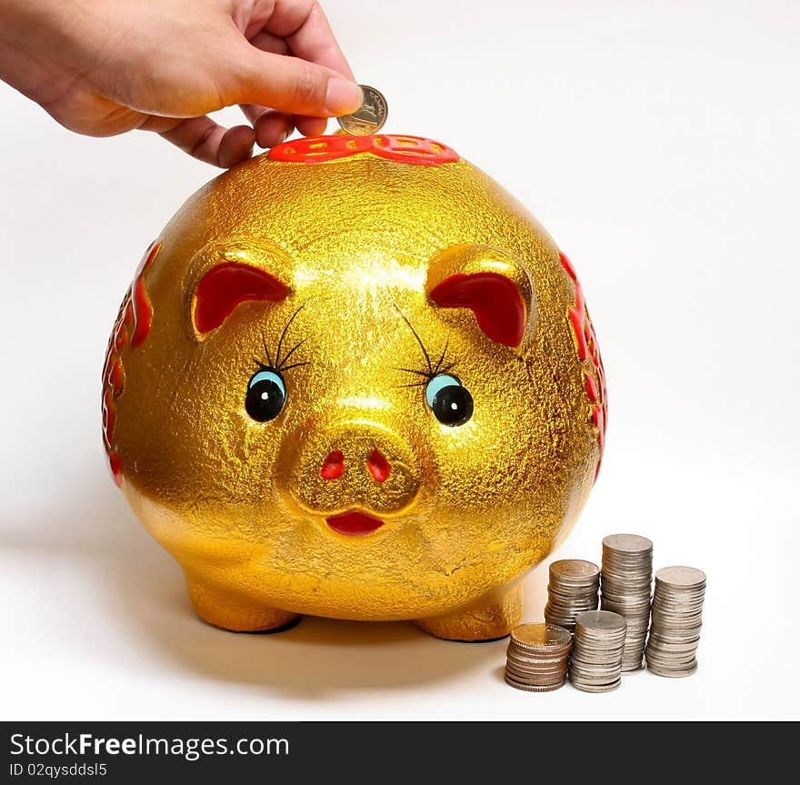 Gold Piggy Bank