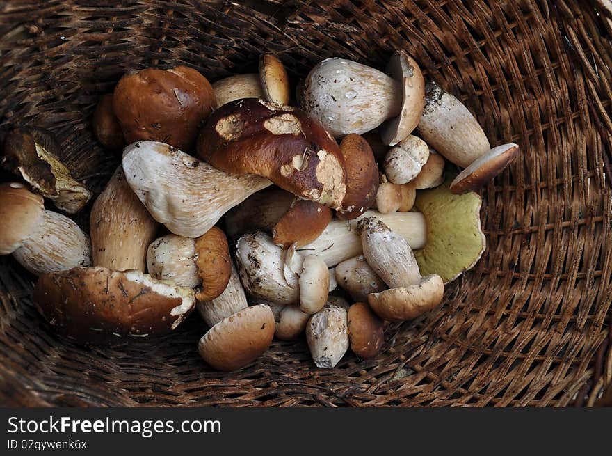 Ceps in a basket.