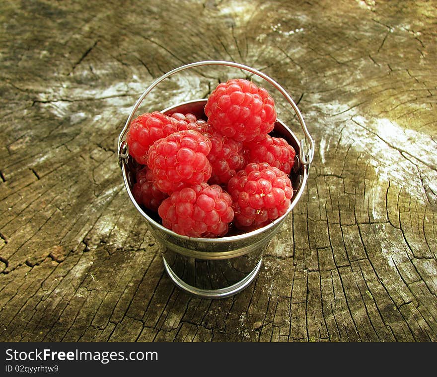 Raspberry in a metal bucket. Raspberry in a metal bucket