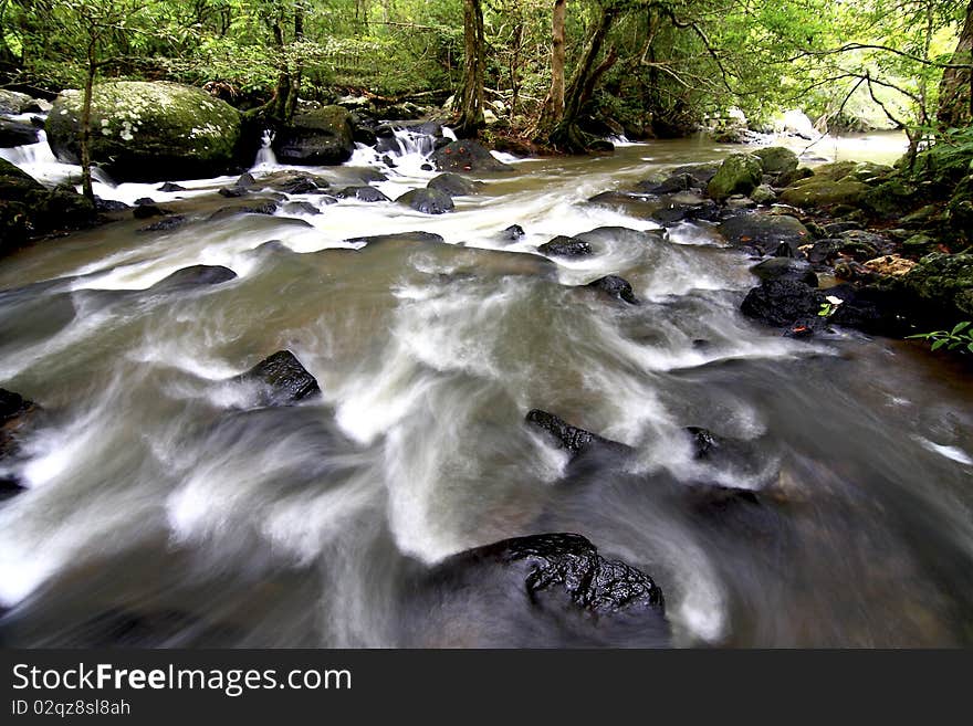 Stream fast  in the forest during the tropical forest