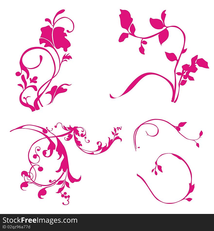 Collection of floral design element. Collection of floral design element