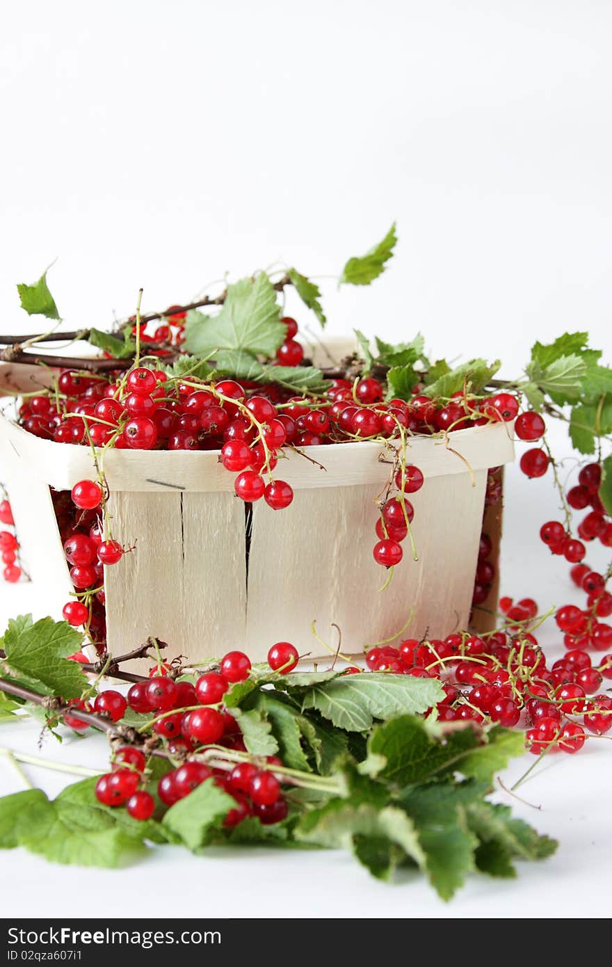 Red Currants In The Basket