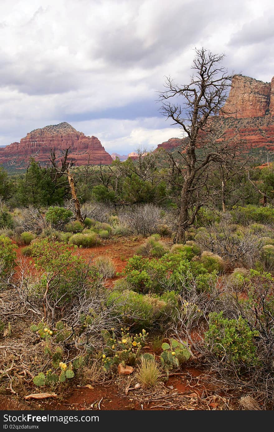 Red mountains in Sedona (Arizona, U.S.A.) under rain storm clouds. Red mountains in Sedona (Arizona, U.S.A.) under rain storm clouds