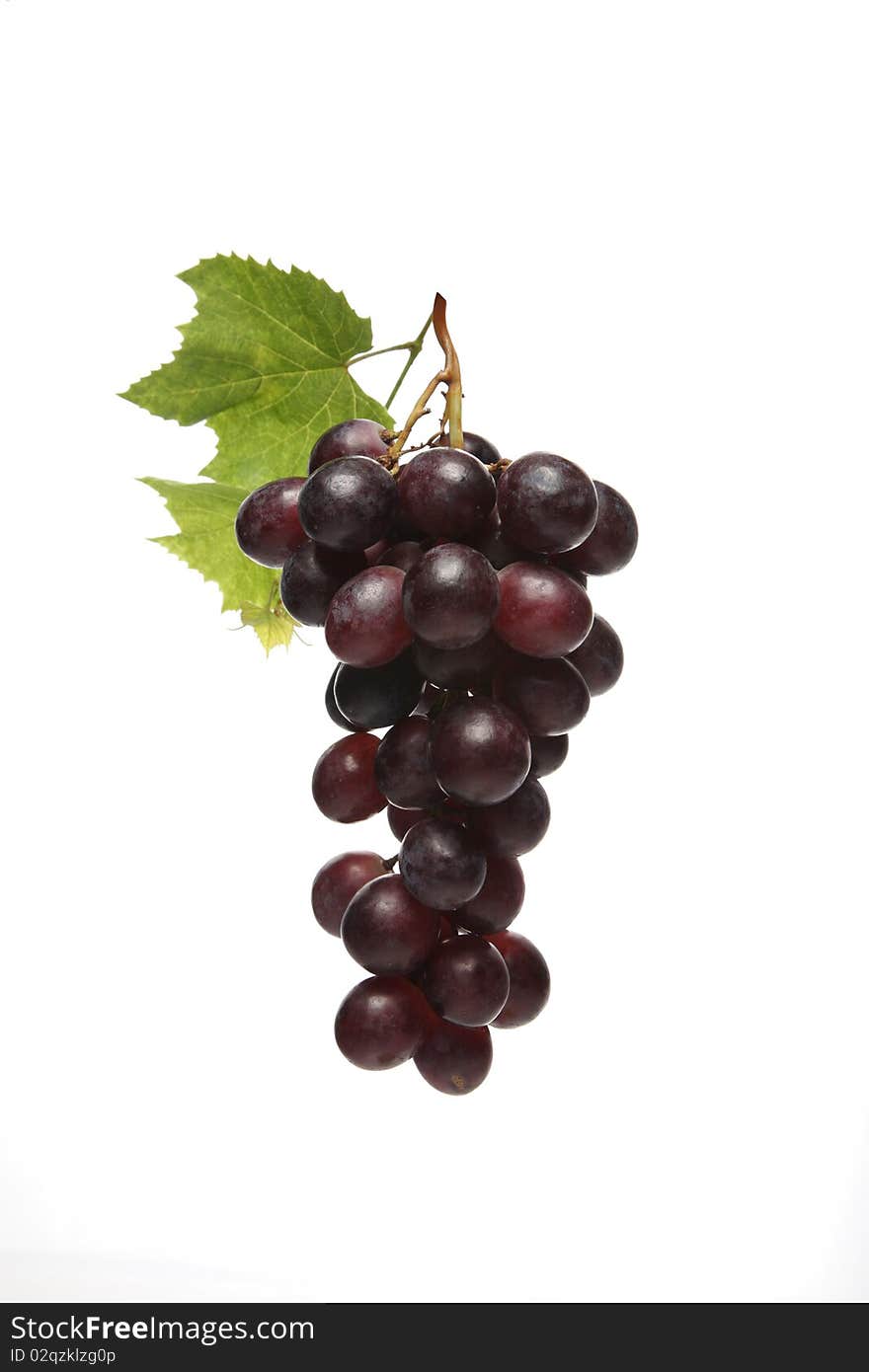 Grapes on the white background