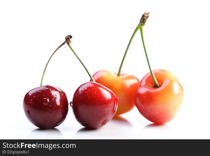 Four cherries on white background