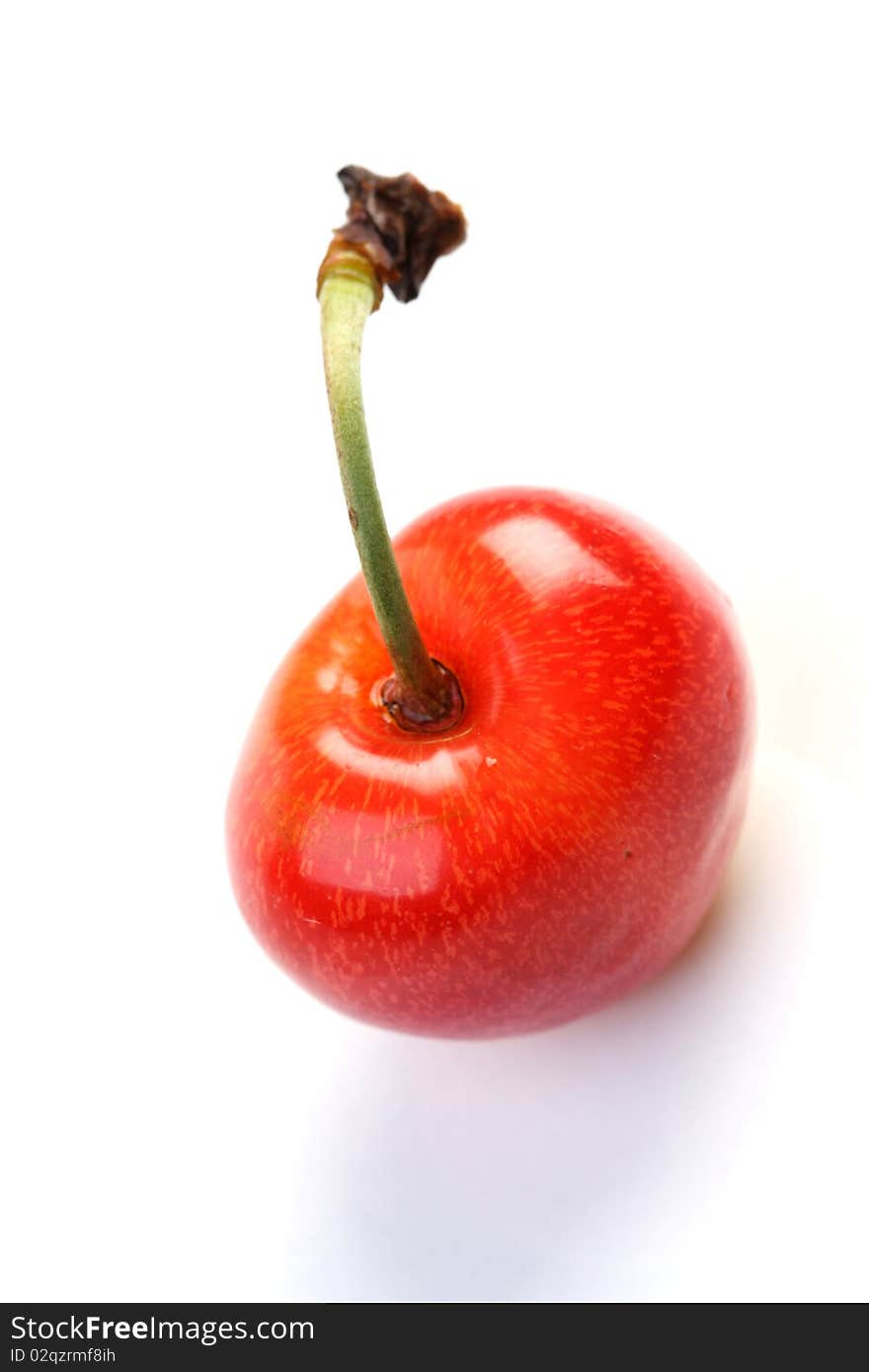 One cherry on white background