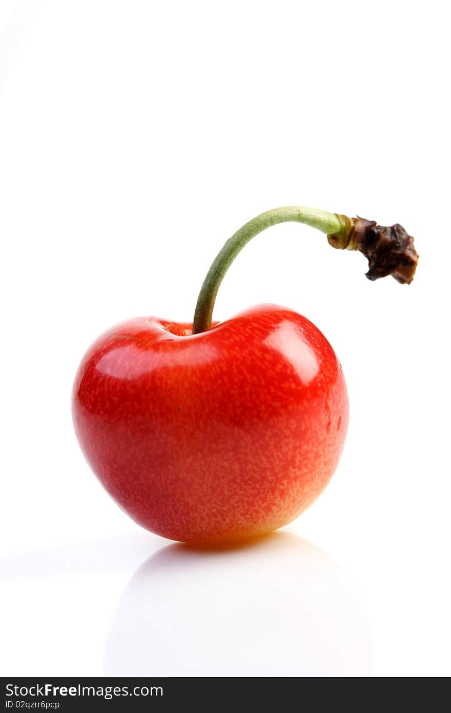 One cherry on white background