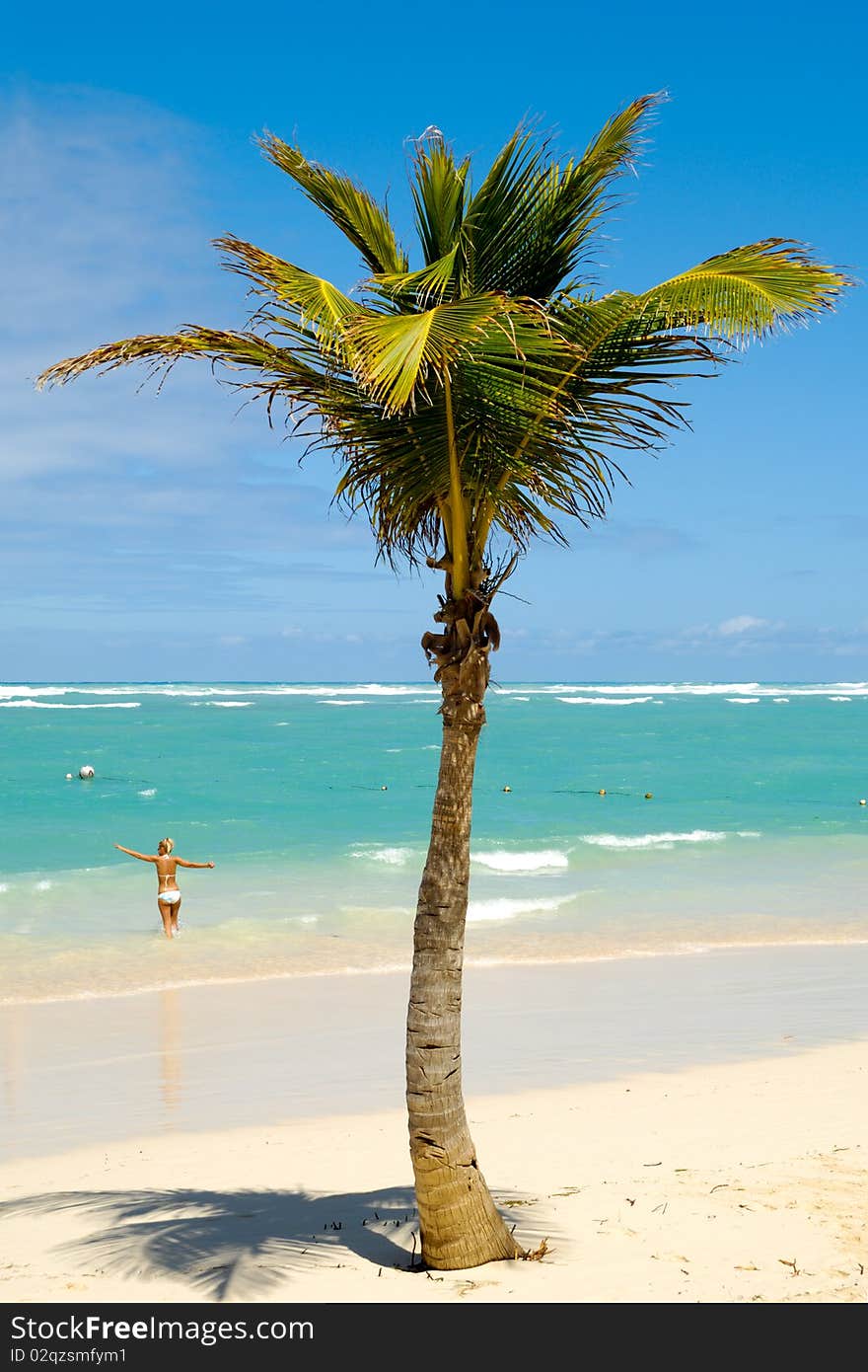 Palm on exotic caribbean beach with the coast in the background. In the water a woman is going to swim. Palm on exotic caribbean beach with the coast in the background. In the water a woman is going to swim.