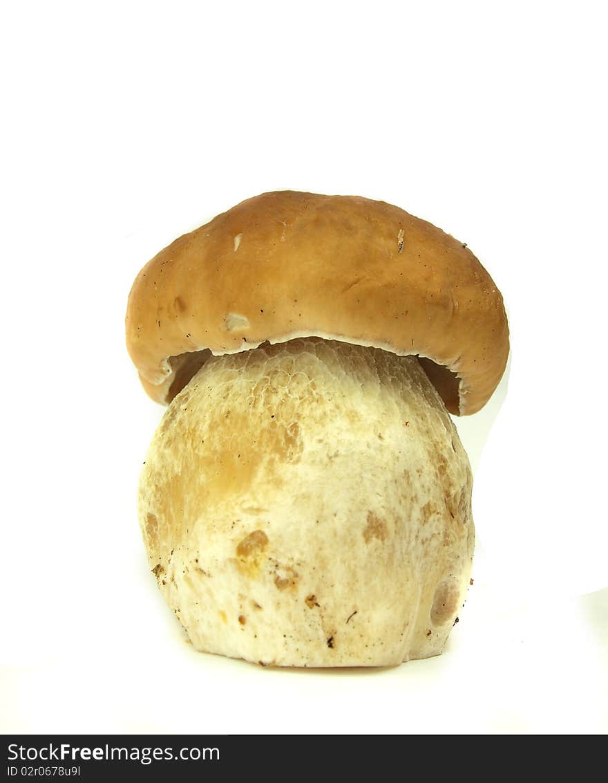 Cep