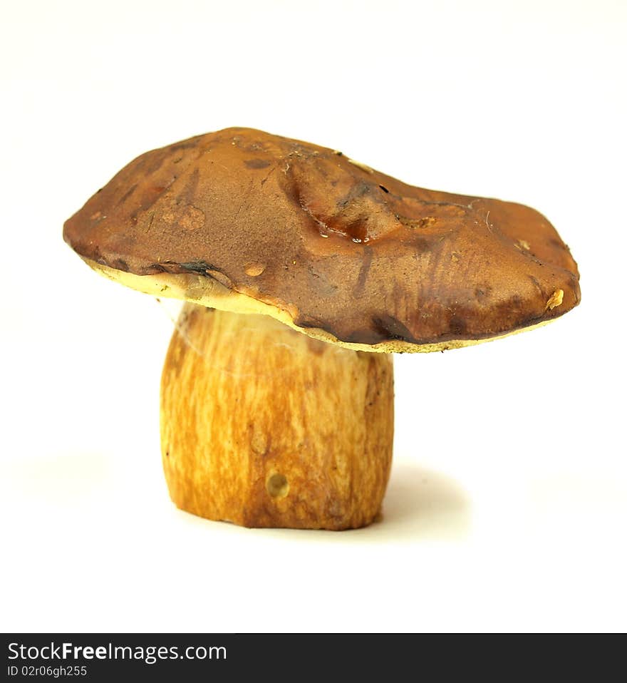 Cep