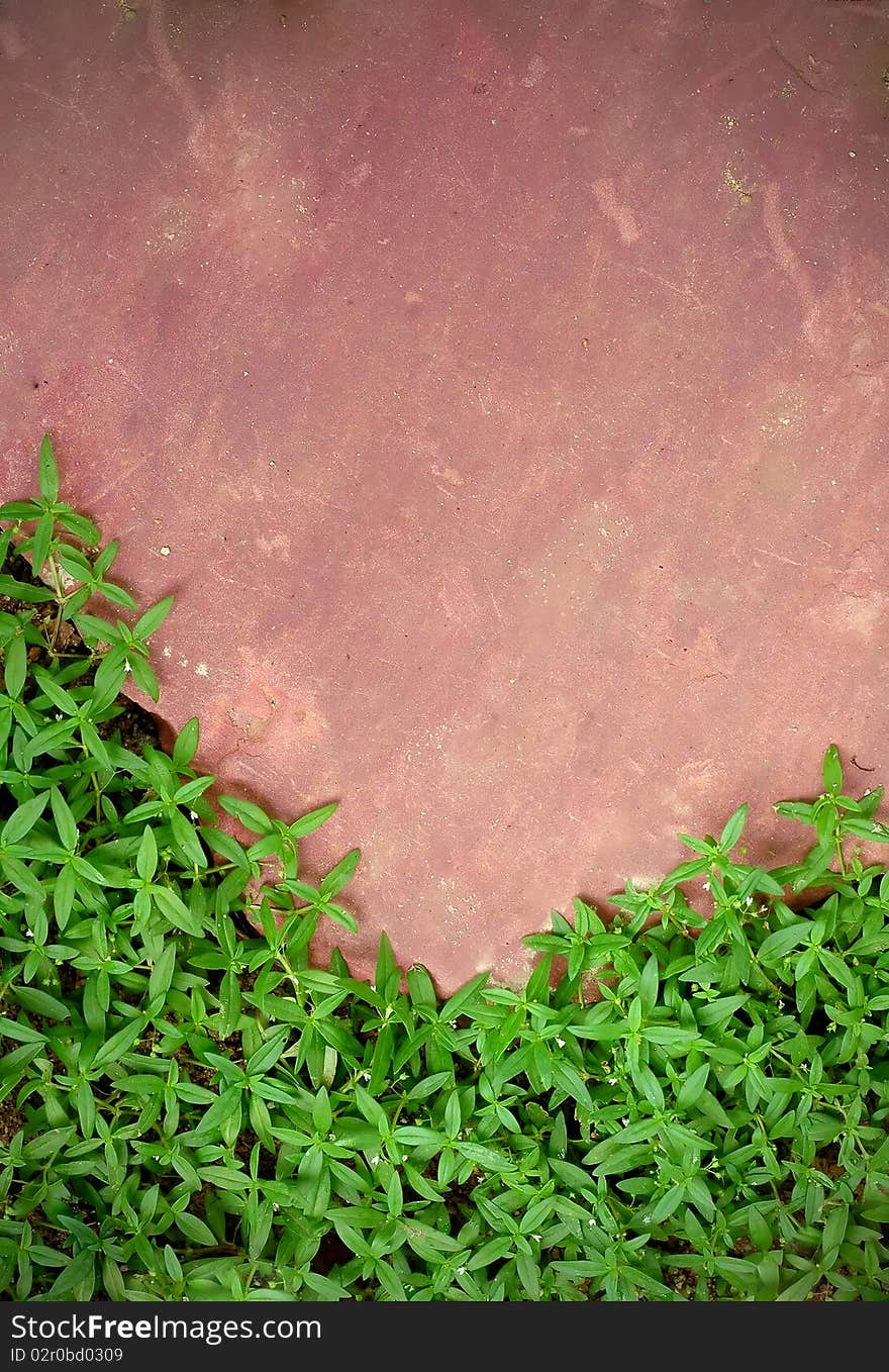 Pink stone and green grass