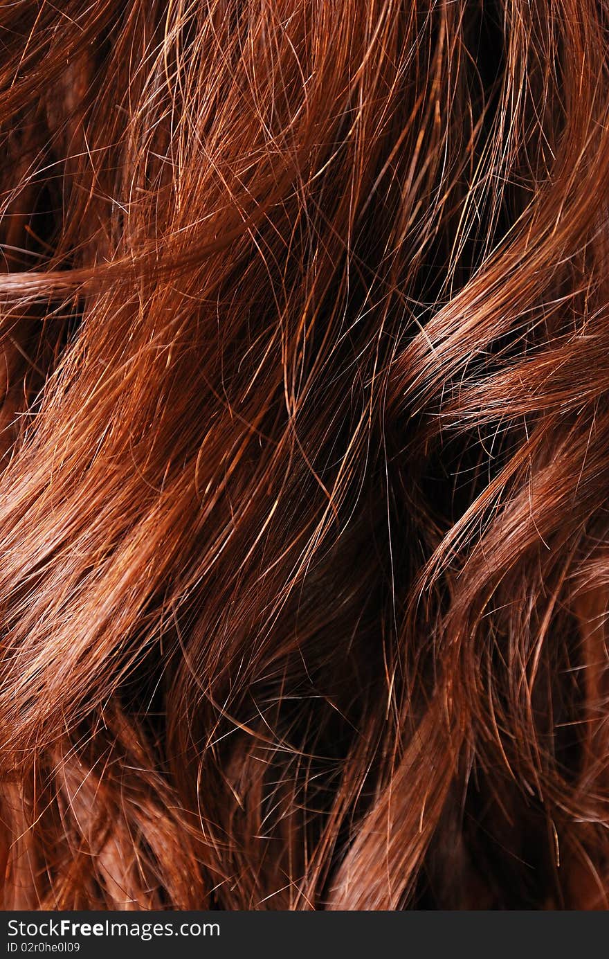 Close-up of natural hair