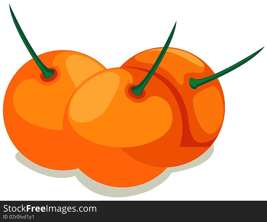 Illustration of isolated oranges on white background