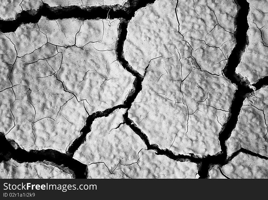 The soil in the fissures