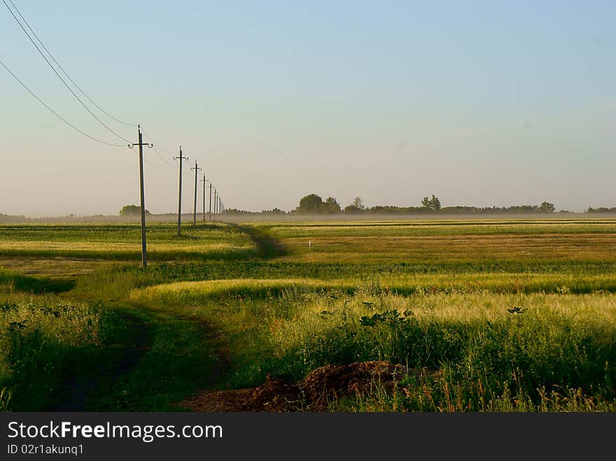 Road through a rural field with wood on horizon. Road through a rural field with wood on horizon