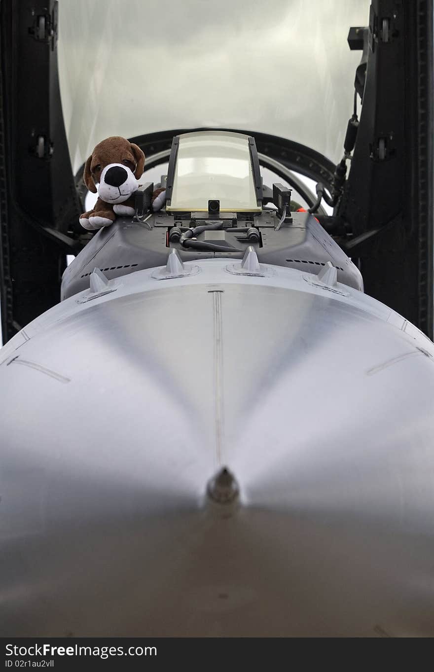 Combat aircraft cockpit with plush dog