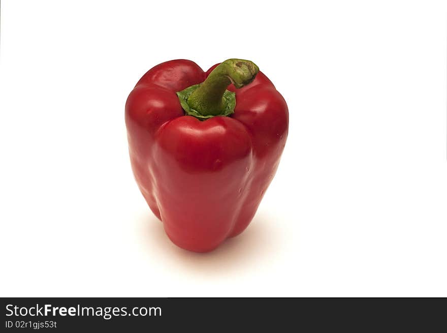 Capsicum