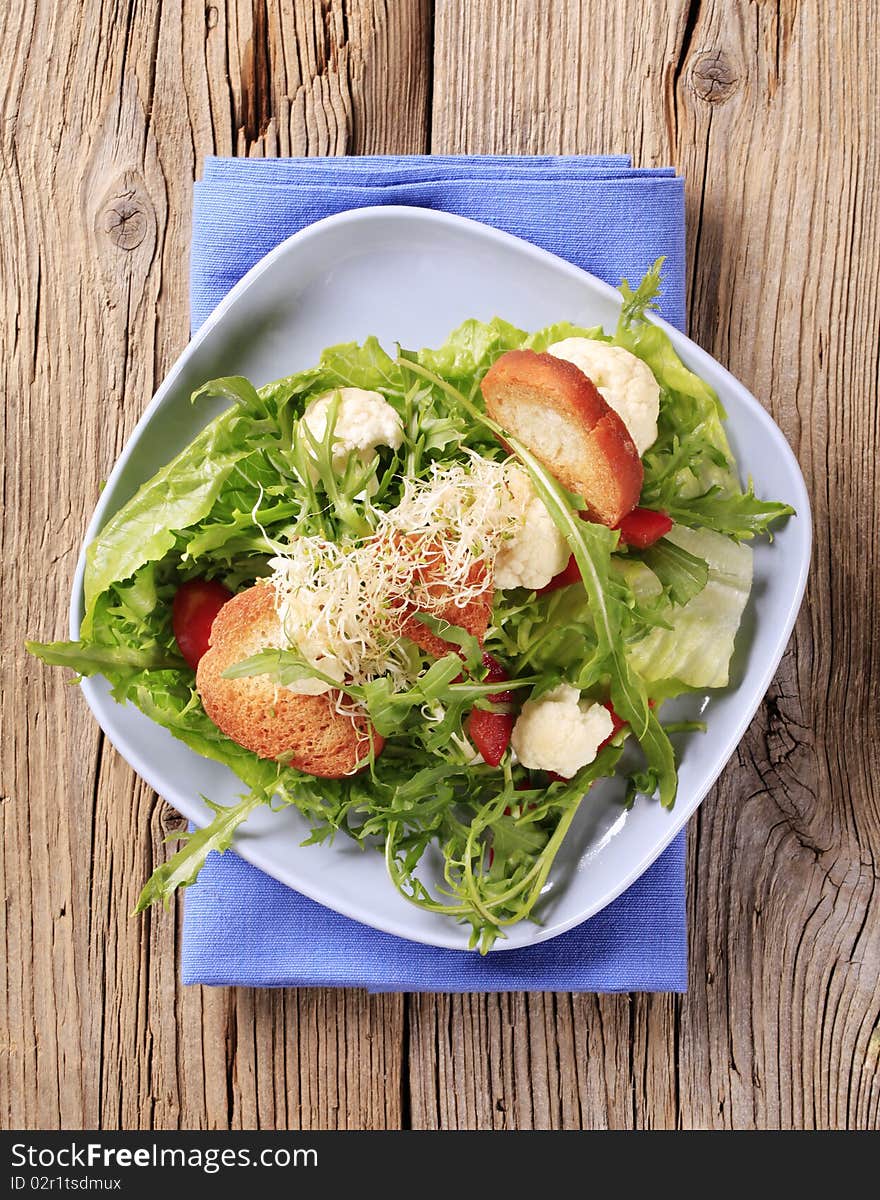 Fresh vegetable salad with crostini