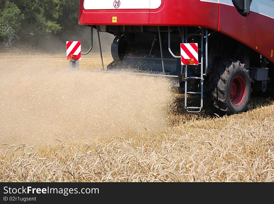 Spray Of Straw