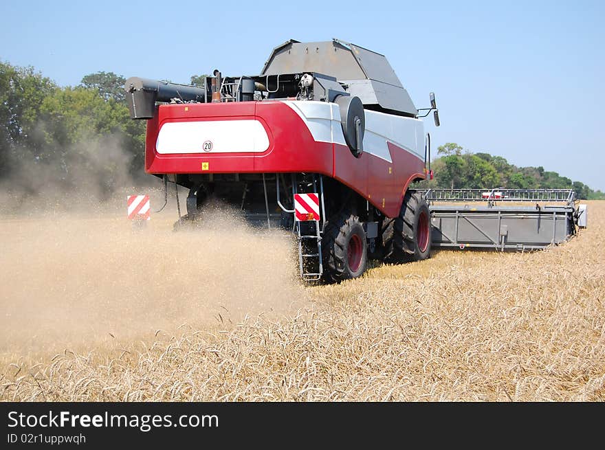 Spray Of Straw