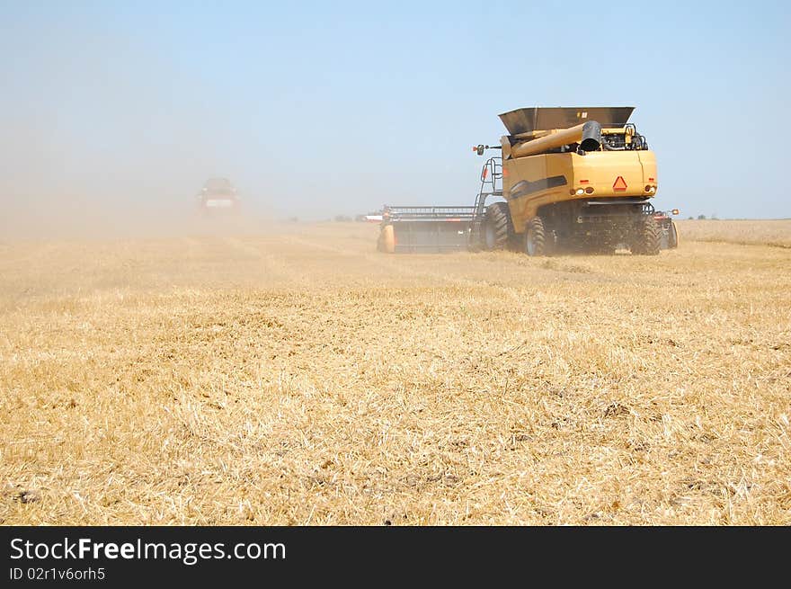 Wheat Harvesting