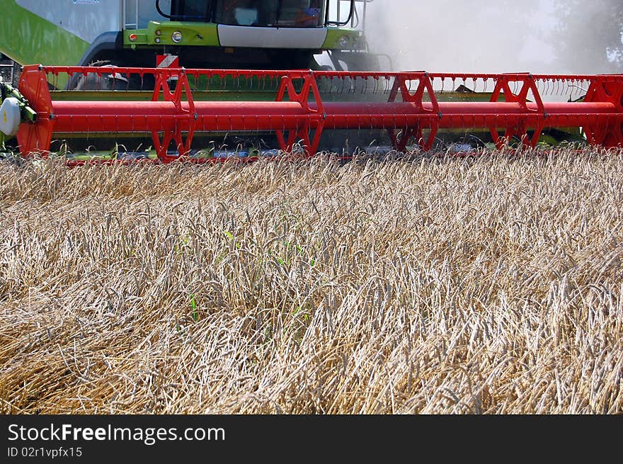 Wheat harvesting