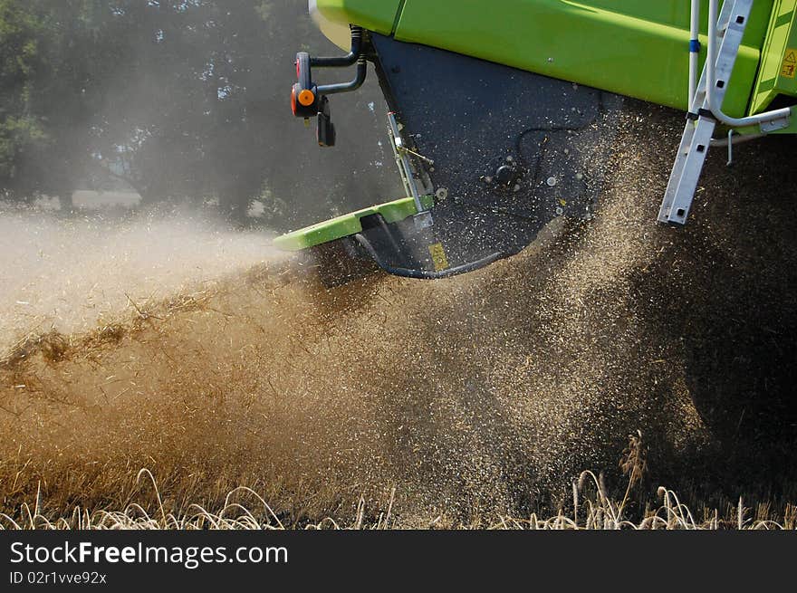 Spray of straw