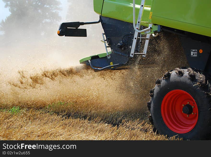 Spray Of Straw