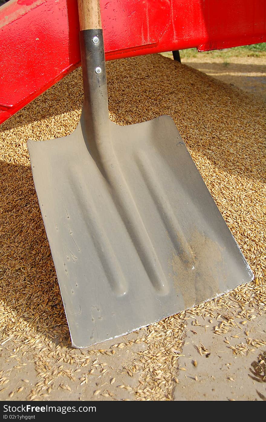 Showel near rest of grain