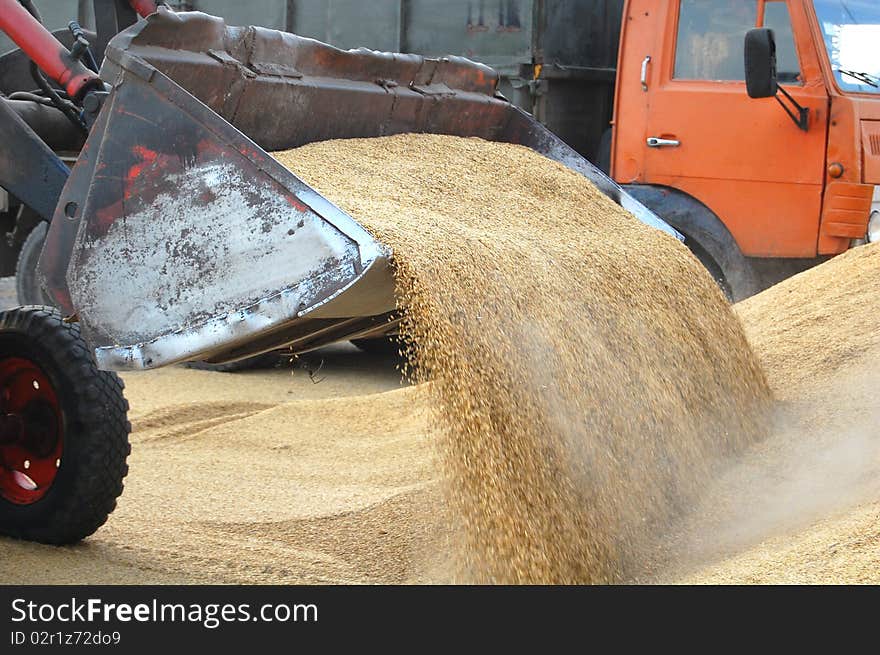 Uploading grain to truck