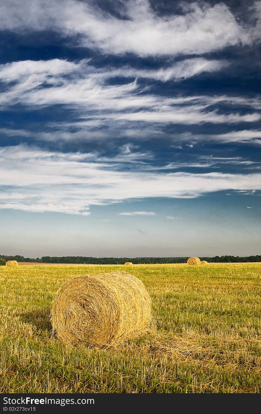 Field With Bales Against Tender Clouds.